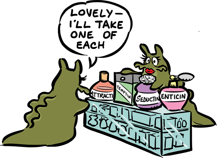 Examples of mollusks - octopus, clams, slug